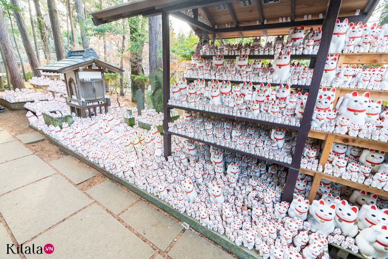 chùa mèo chiêu tài Gotokuji